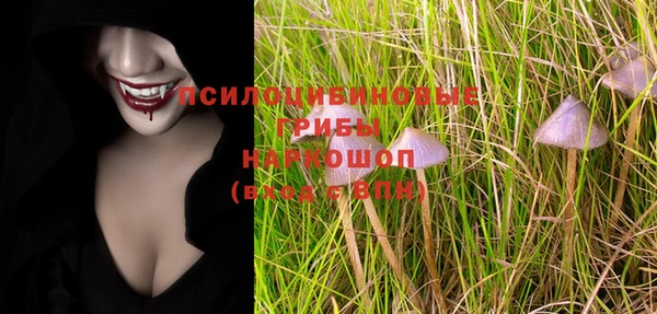 ешки Бугульма