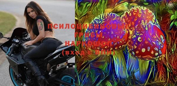 МДПВ Бронницы