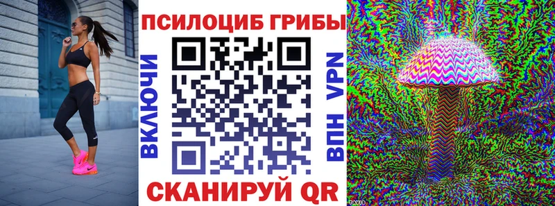 omg ССЫЛКА  сколько стоит  Высоковск  Псилоцибиновые грибы GOLDEN TEACHER 
