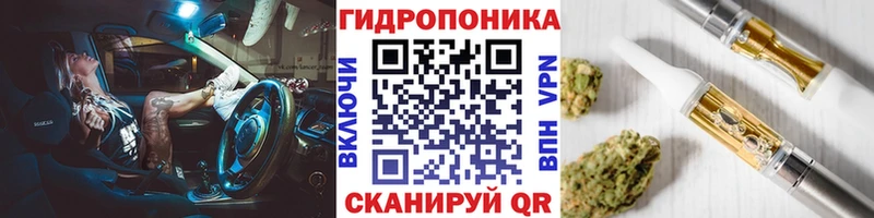 Бошки Шишки Amnesia Высоковск